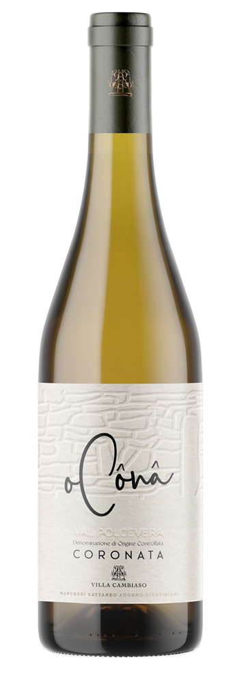Bottle of O Cônâ wine
